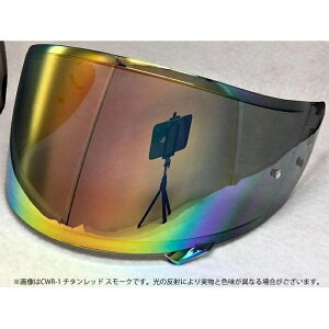 T'S �e�B�[�Y SHOEI�w�����b�g�p �~���[�V�[���h CWR-F2R PINLOCK �X���[�N�x�[�X