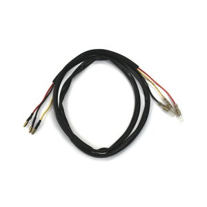 Motone Customs [g[JX^Y e[Cgn[lX