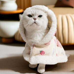 L ybg}g  P[v ѕz  uPbg h  킢 lC  g hWPbg t[ht tȒP ȒP Vv ybguPbg P