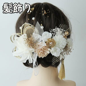 y1120Si10OFFz l Ǝ  R     S[h sN vU[uht[  OB lOB wAANZT[ a EFfBO uC_ ԉ