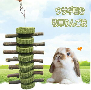 5_Zbg  ETM  nX^[  ʎ̖ S̖ q񂲎}@ь `` X  ? XgX ݂艺 V ybg 