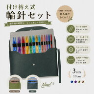 【6月10日10％OFF】＼楽天1位／輪針セット 輪ばりセット 付け替え針 13サイズ 0.25mm刻み 組み替え式 交…