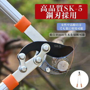 ySSԌE15%OFF2550~z}    | K[fjO }؂ ӂƎ}؂ `Fbg }؂ }؂͂  荞݂΂ } } 