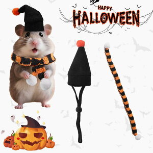 nX^[ Xq nEC@  ڂ nEB Cxg Obc pi ঒ p  \ jbgX RXv NX}X  ʂ ڂ Ԃ  n