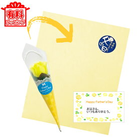 楽天市場 父の日包装紙の通販
