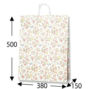 ܁@}lXNyXŃMtgiグ̂ql̂ݔ̔z