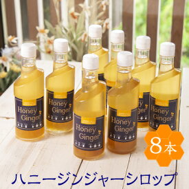 楽天市場 ジンジャー シロップの通販