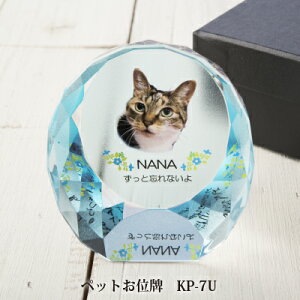 yybgʔv KP-7U KXH[ONOz ybg { A { ʐ^ bZ[W