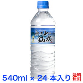 【奥大和の銘水 ミネラルウォーター 540ml 24本 永伸商事】 送料無料 送料込 モンドセレクション金賞 奈良県 月ヶ瀬 軟水 アンチエイジング シリカ カルシウム マグネシウム サルフェート 安心 安全 健康 美容 天然 人気