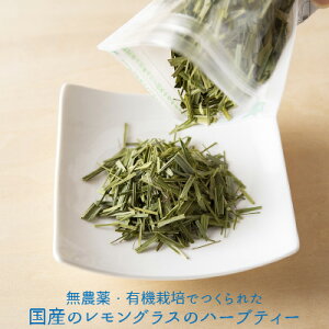 Mtg v[gy_ L@͔| Y OX n[ueB[ eB[|bg^Cv20gz ނÂψ mJtFC OXeB[ ޗ g V  a