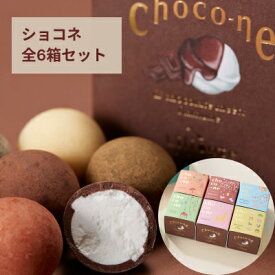 母の日 早割 10%OFF 4/21まで お得 ギフト プレゼント スイーツ 洋菓子 ラムネ チョコレート コーティング choco-ne ショコネ6箱セット リリオンテ お取り寄せ 手土産 あすかルビー 個包装 奈良土産 ラムネ菓子 プチギフト