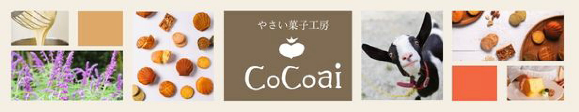 ココアイ