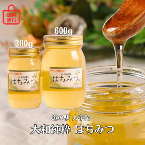 Mtg ݂͂ỷw F a݂͂ 300g/600gz v[g n`~c ~ @v  yY 퉷  I   j j j Ԃ  