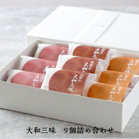 父の日 ギフト プレゼント お中元 御中元 和菓子 お取り寄せ スイーツ 常温 どら焼き どらやき 大和三昧9個詰め合わせ つぶあん 栗つぶあん 白あん 奈良祥樂 人気 送料無料 ギフト プレゼント お礼 挨拶 お供え 引き菓子 手土産 自宅 個包装