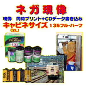 1本 ネガフィルム カメラフィルムの人気商品 通販 価格比較 価格 Com
