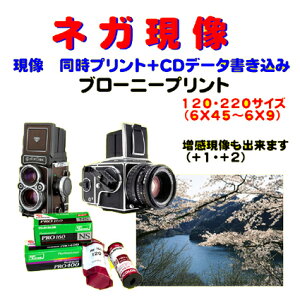u[j[@lK @@vg@HASSELBLAD@ZENZABRONICA@@Mamiya@PENTAX@Yashica@@@ŎB@lKtB@120@220@tB@1{t