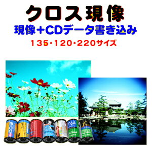 NX{CDf[^݁@@FUJI@@KODAK@AGFA@LOMO@@̃o[TtB灨C|41@@@135@120@220@@1{t