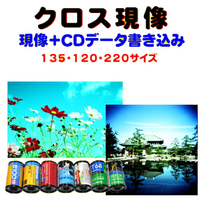 楽天市場】 クロス現像＋CDデータ書き込み FUJI KODAK 