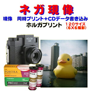 HOLGA@ŎB@u[j[tB@lK @vg@FUJI@PRO400@@Kodak@Ektar@PORTRA@@120@tB@1{t