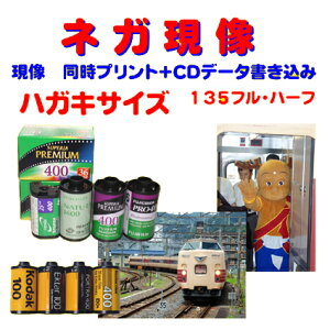 lK @vg@CDf[^݁@@FUJI@@Kodak@AGFA@Lomo@@ŎB@135@@tB@@nKLTCY@1{t