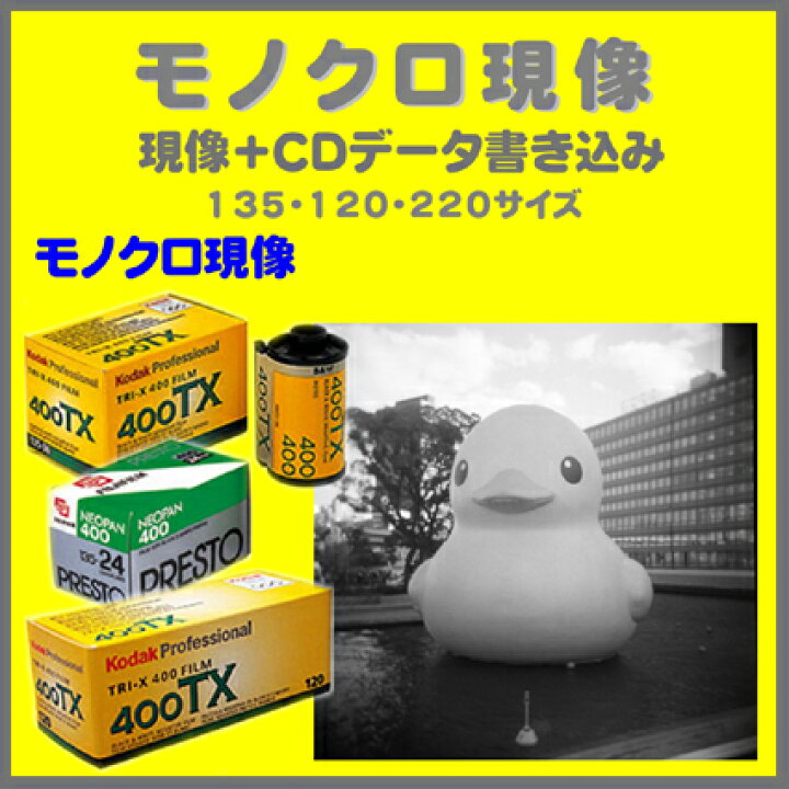 楽天市場】 モノクロフィルム モノクロ現像＋CDデータ書き込み 