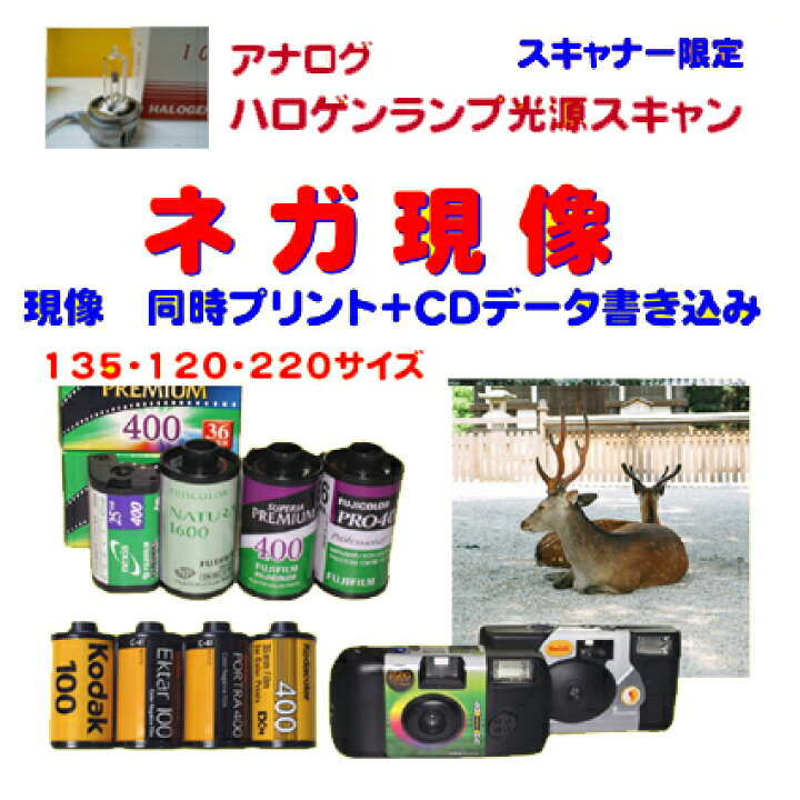 楽天市場】ネガフィルム現像 同時プリント+CDデータ書き込みFUJI Kodak 