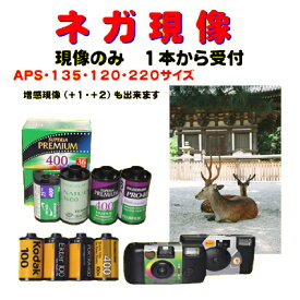 ネガフィルム　ネガ現像　FUJI　　Kodak　AGFA　Solaris　　ネガ現像　135　APS　120　220　　1本から受付