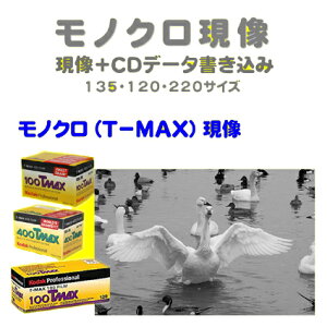 モノクロ（T−MAX）フィルム　モノクロ（T−MAX）現像＋CDデータ書き込み　　Kodak　T-MAX　100　　T-MAX　400　　T-MAX　P3200135　120　1本から受付