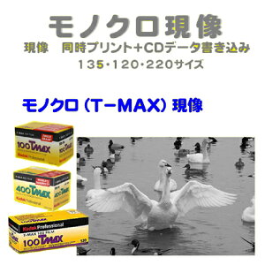 mNiT|MAXjtB@mNiT|MAXj@vg{CDf[^݁@@Kodak@T-MAX@100@@T-MAX@400@T-MAX@P3200@@135@120@@1{t
