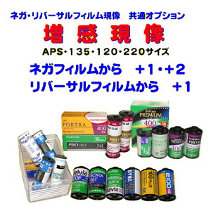 IvVŁ@lKtBEo[TtB́@ @APSE135E120E220@1{t