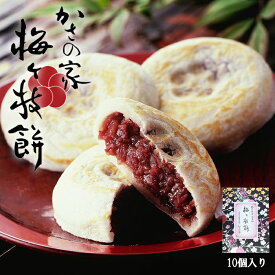 【3,980円以上で送料無料】梅ヶ枝餅 10個入り かさの屋 太宰府 国産 焼餅 うめがえもち 冷凍 もち米 甘味 おやつ 銘菓 和菓子 洋食 お菓子 おかし ギフト 博多 お土産 おすすめ あんこ 料理 グルメ お得 福岡 食品