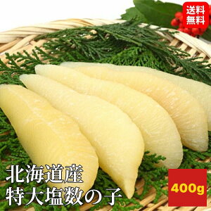 yzykCYz剖̎q400g 1{ 40g ̎q    N Mtg