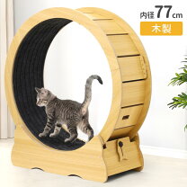 楽天市場】猫 滑車の通販