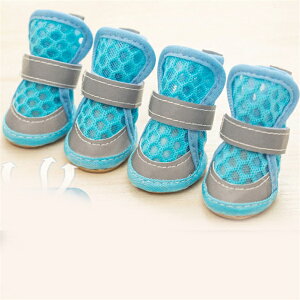 hbOV[Yh ^   C ^ EȂ bV  J̓ h h g S U C ybg ~ 