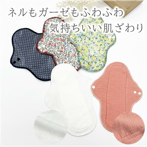 K[[ Rbg  lnpivL Ci[ p 24.5cmzivL yIׂ3z K[[ Rbg  ln pi AR A   lC D 