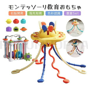 yX[p[SALEzeb\[炨 mߋ Ԃ R  ̏o邨 ԉ~ vbV|bv j̎q ̎q ςݖ ϖ ݂ ubN `킹