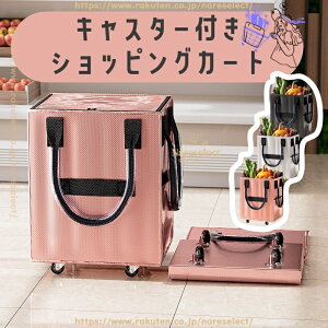 ܂肽ݎ LX^[tVbsOJ[g - sEEAEghAɑ劈