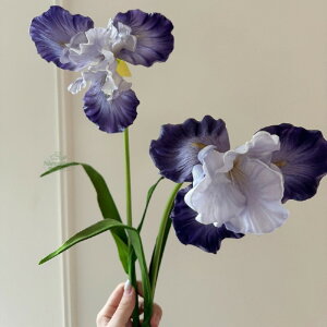 A  tFCNt[ Aȃe[uAWg [sAfR[Vu[P rO