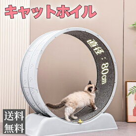 【送料無料】キャットホイール 猫用ランニングマシン 回し車 トレッドミル 軽量プラスチック 組み立て簡単 静音設計 運動不足解消 ストレス発散 室内運動 肥満防止 多頭飼い対応 猫のおもちゃ ペットフィットネス（ライトブルー）