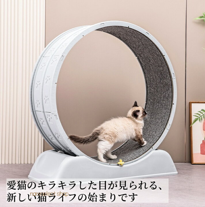 楽天市場】【送料無料】キャットホイール 猫用ランニングマシン 回し車 