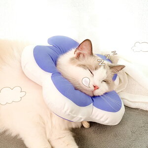 GUxXJ[ \tg ʔ  L ybg ObY y _炩 p pi ˂  pi 킢 r r h~  ی  h[ic