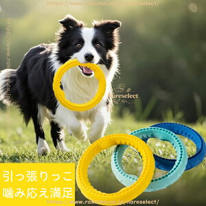 qr喞I ^p ϋv ݉ tXr[t