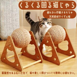 ]LbgXNb`{[ TCU 萫Q u^ ܂Ƃ ܂Ƃ Lbg^[  ]{[ TCU x[X lV L