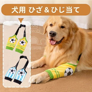 ^ ֐ ی T|[^[ ڈ G I pbh ʋC  􂦂 \ ь VjA U ^ ֐߉ 