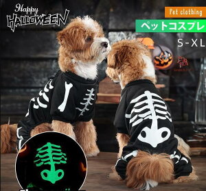 nEB// L lR RX`[ [ IoP [ _炩 킢  ϑ ybgߑ U o  ʐ^