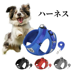 ^E^E^p  n[lX EȂ݌v ybgpi [ht  n[lXxg