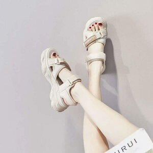 X|[cT_ fB[X  r[`T_ Xj[J[T_ T_ L RtH[gT_ ₷ ɂȂ _炩