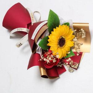 tOX\[vt[ ԑ 񂰑ܕt Ђ܂ o u[P \[vt[ ͂Ȃ  v[g Mtg ̓ o^C a j