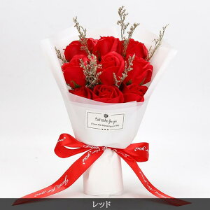 \[vt[ {bNXt 9 u[P tOX\[vt[ ԑ ͂Ȃ   Ό v[g Mtg j ̓ o^C a