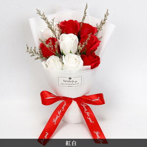 \[vt[ {bNXt 9 u[P tOX\[vt[ ԑ ͂Ȃ   Ό v[g Mtg j ̓ o^C a